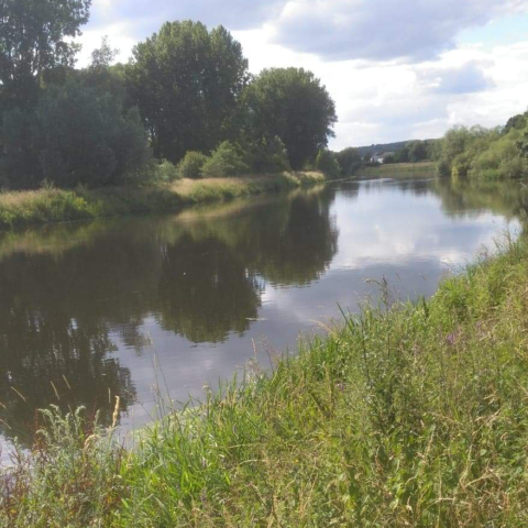 River Trent Branston Golf Course