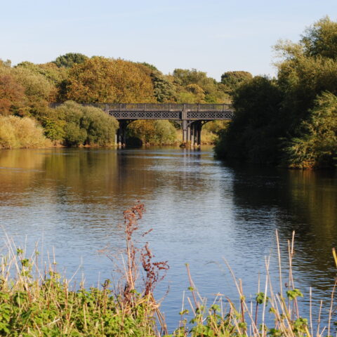 River Trent – Willington, Twyford, Barrow, Cuttle Brook