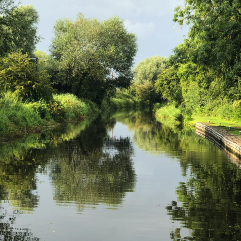 Trent and Mersey Canal