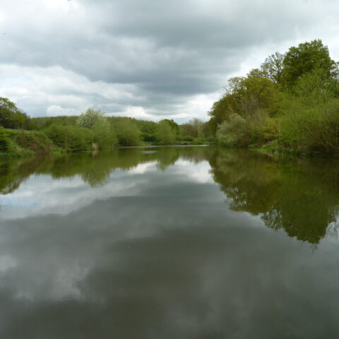 Callingwood Lane Lake