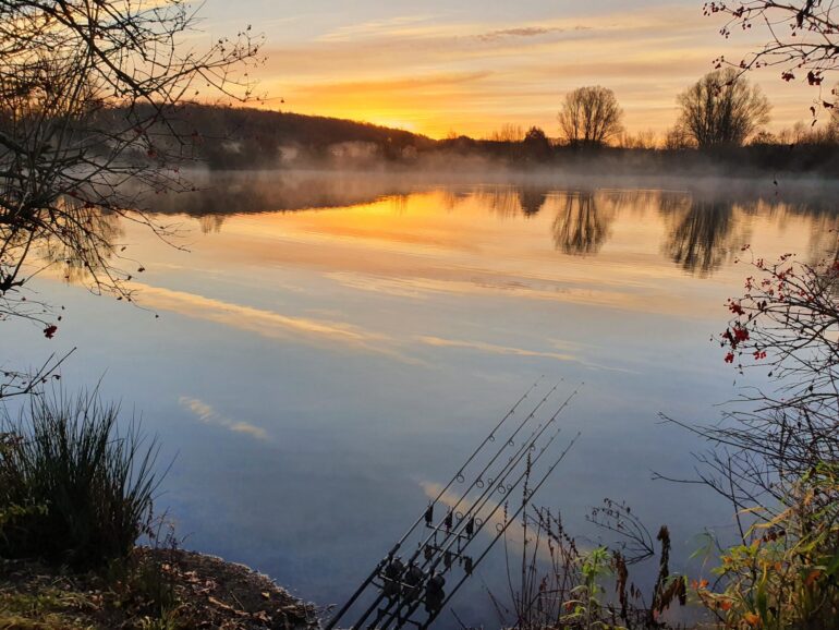 Biobase survey – Branston