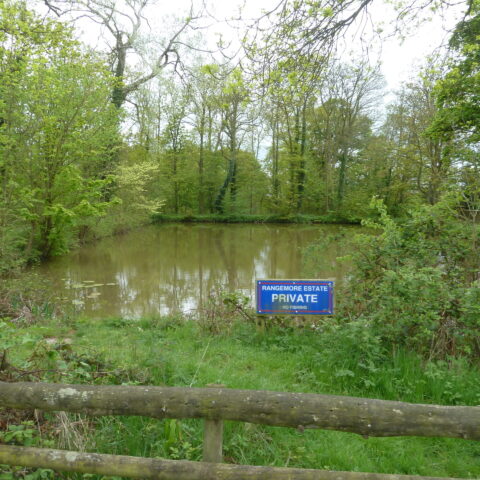 Rangemore Pond