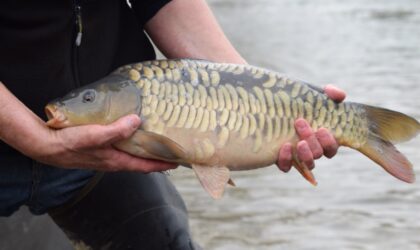 Branston Water Park – Be Aware of Fish Spawning