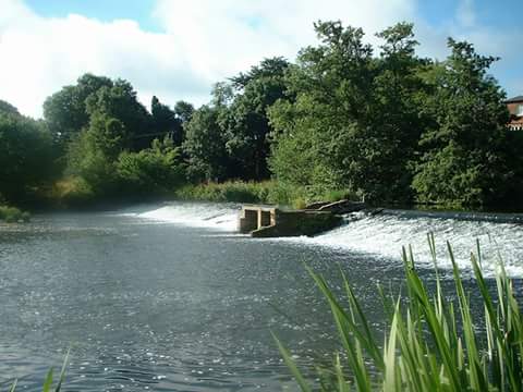 River Dove – resticted access at site of Eggington weir