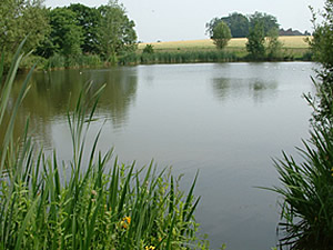 Kingstanding Pools