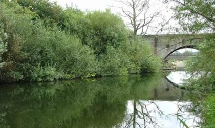 Thistley Meadow, Hatton/Dove – River Dove – 25th June event.