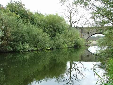 Thistley Meadow, Hatton/Dove – River Dove – 25th June event.